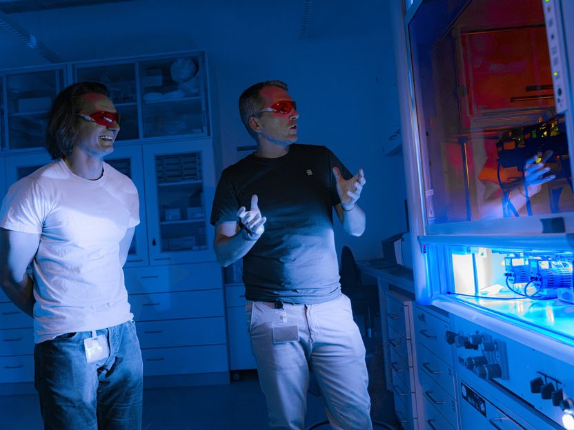 Une catalyse efficace avec moins de métal - Des chercheurs de l'ISTA mettent au point un catalyseur au nickel activé par la lumière pour la formation de liaisons chimiques
