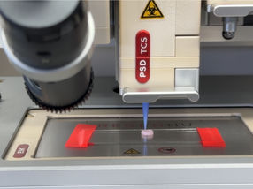 Sustainable Printing Inks for Functional Organs