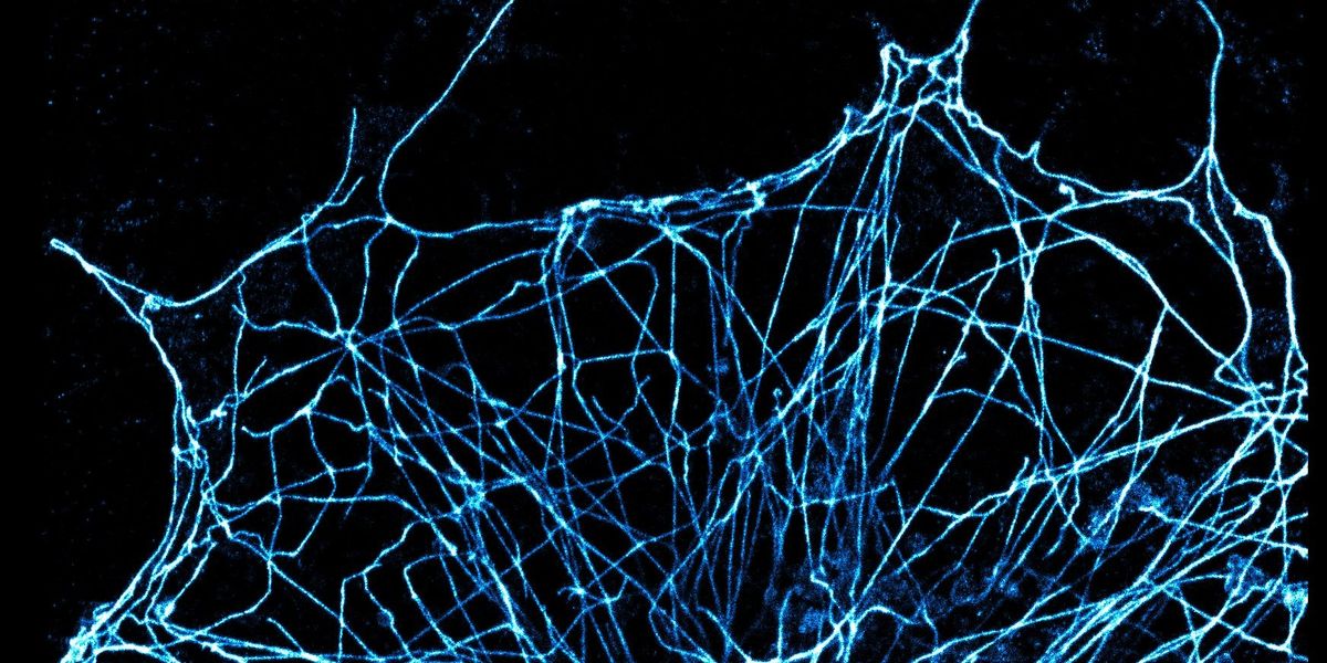 Immagini più veloci, più nitide e più semplici grazie ai “coloranti auto-lampeggianti”