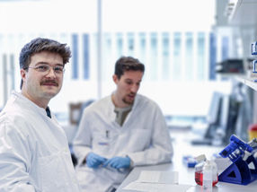 AI Model Aims to Significantly Simplify Blood Cancer Diagnosis