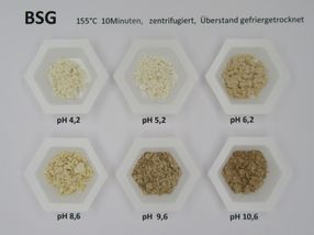 Des méthodes innovantes pour l'extraction du β-glucane