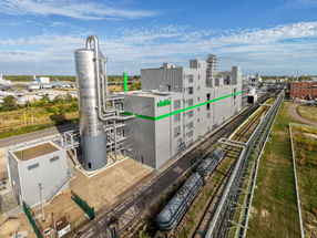 Rapeseed oil instead of crude oil: Verbio starts industrial production of renewable chemicals