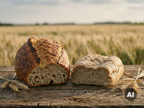 Rising CO₂ Alters Wheat Proteins and Baking Quality