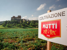 Mutti traccia un bilancio positivo in una stagione caratterizzata da condizioni meteorologiche estreme