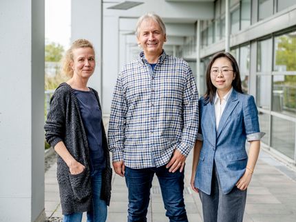 Un pendule moléculaire pour une production efficace d'hydrogène