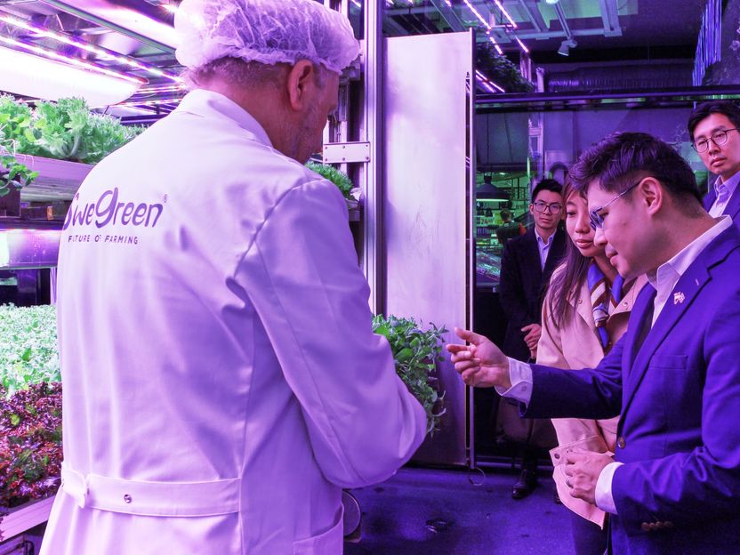 Le modèle agricole suédois « In-Store » suscite l'intérêt à l'échelle internationale - Singapour étudie le modèle d'agriculture en intérieur de Swegreen pour réduire sa dépendance vis-à-vis des importations alimentaires