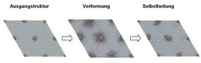 Erlanger Chemiker klären auf, wie Biominerale sich selbst regenerieren
