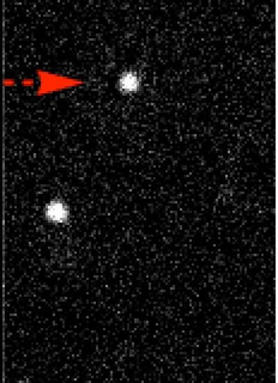 Hotspots tamed by BEAST - Secrets of mysterious metal hotspots uncovered by new single molecule imaging technique