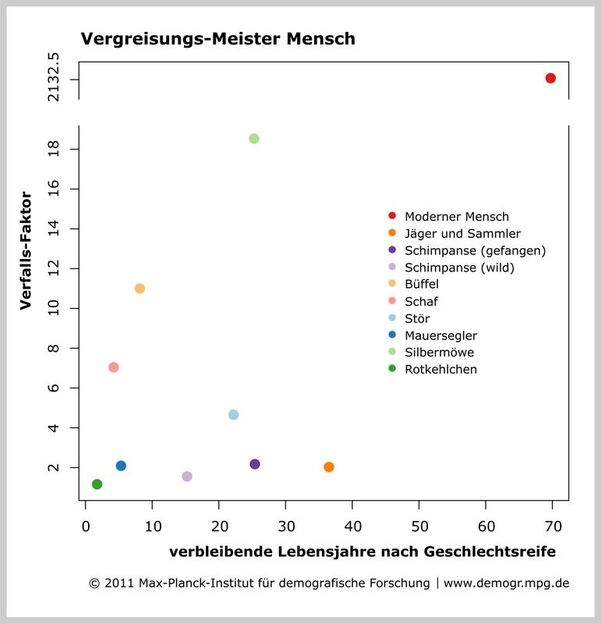 Methusalem kontra Eintagsfliege