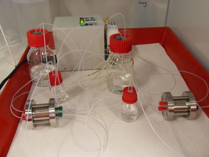 Opalinuston als Wirtsgestein für Atommüll untersucht