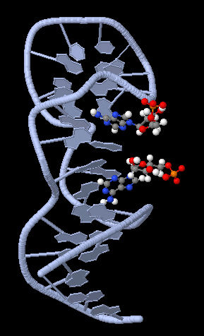 © R. Berger/MPI für Polymerforschung