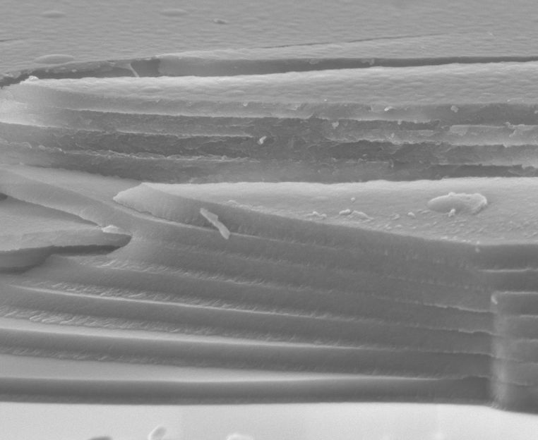 Fraunhofer-Institut für Grenzflächen- und Bioverfahrenstechnik IGB