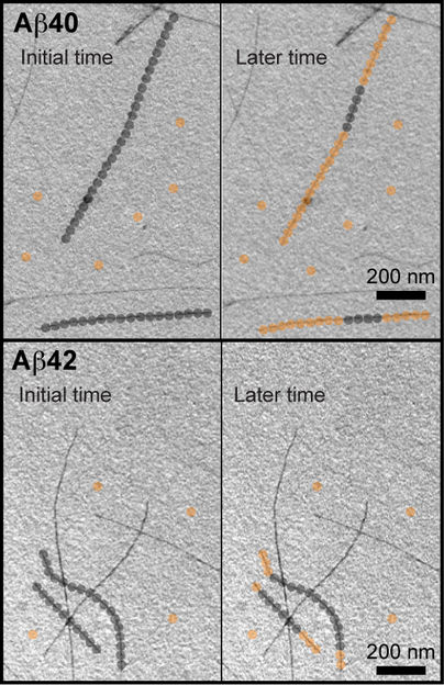 Aß40