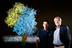 Researchers get a first look at the mechanics of membrane proteins