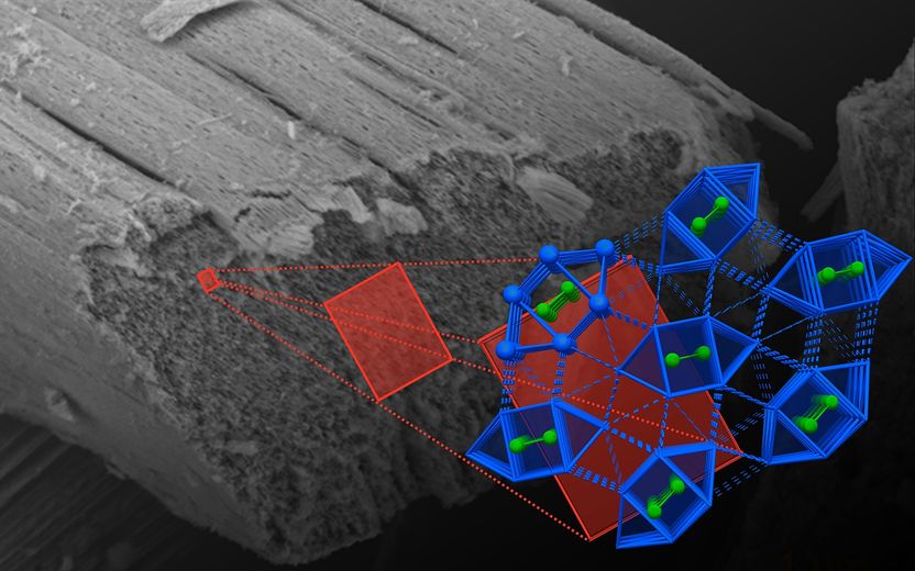 Ferromagnetismus plus Supraleitung