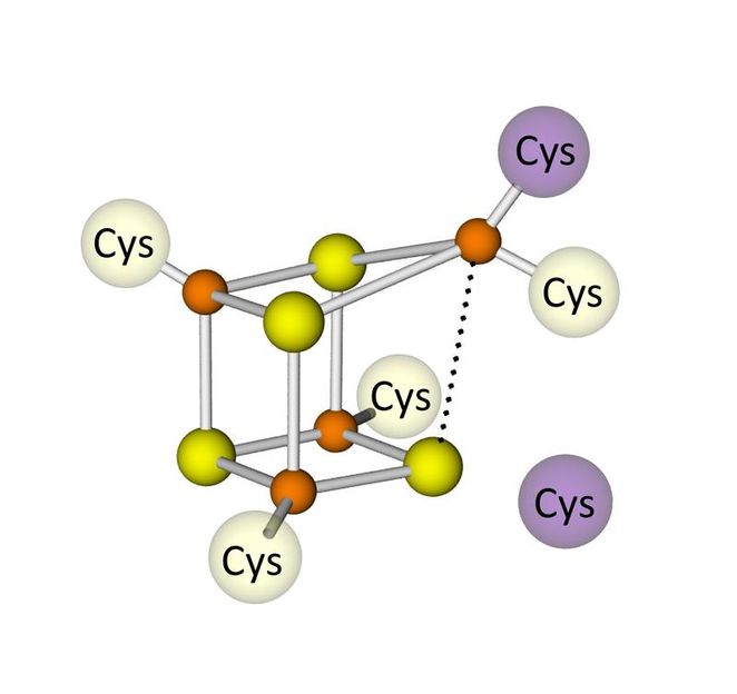 MPI für Bioanorganische Chemie