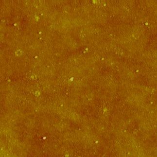 Silver nanoparticles