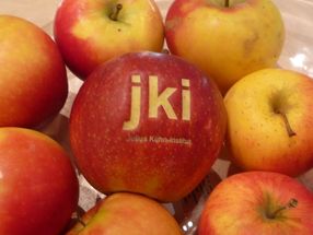 Geschmackssache: Erfolgreiche Suche nach Aroma-Genen des Apfels