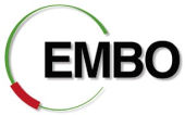 European Molecular Biology Organization (EMBO)