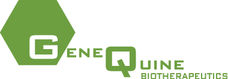 GeneQuine Biotherapeutics GmbH