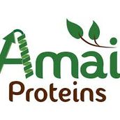 Amai Proteins