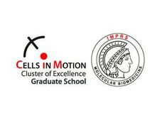 Cells in Motion Excellence Cluster University of Münster