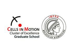Cells in Motion Excellence Cluster University of Münster - Münster, Germany