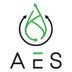 AES Autonome Energiesysteme