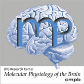 DFG Forschungszentrum für Molekularphysiologie des Gehirns (CMPB)