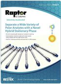 Separate a Wide Variety of Polar Analytes with a Novel Hybrid Stationary Phase