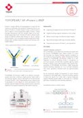 High-Performance Protein L Resin for Effective Antibody Purification