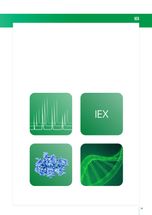 Maximum binding capacity in ion exchange chromatography