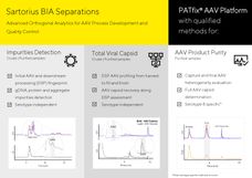 Continuous AAV Downstream Analytics for Confident Process Decisions