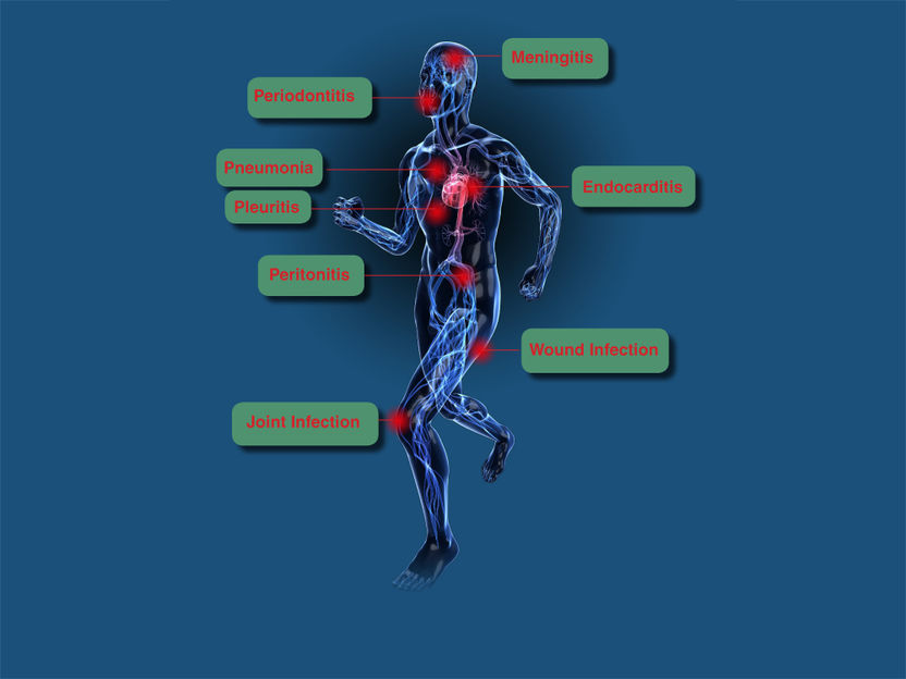 Micro-Dx™ CE IVD - Diagnostic des maladies infectieuses