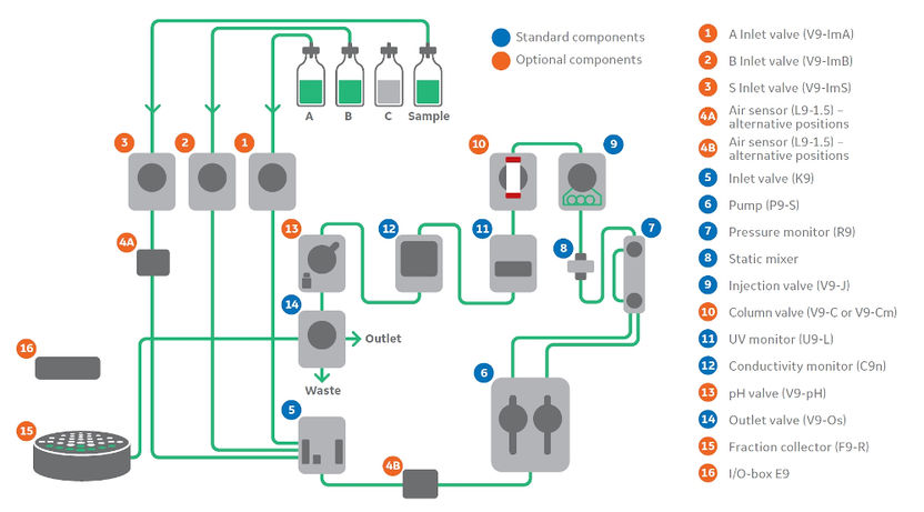 ÄKTA go – schematische Darstellung des Flussweges mit al ...