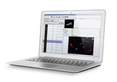 particle analysis software