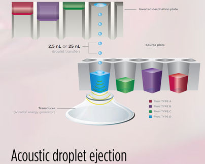 Echo Acoustic Droplet Ejection Technology