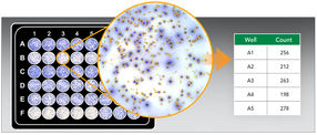 Cytation 7 automatisiert die Bildaufnahme, Verarbeitung, Bildanalyse und Objektzählung in ELISpot-Assays.