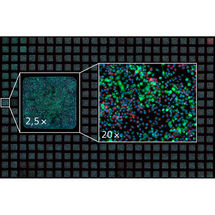 ZEISS Celldiscoverer 7 Microscopes and optical image processing
