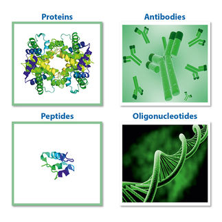 RP, SEC, IEX und HIC Säulen für Proteine, Antikörper, Peptide und Oligonukleotide.