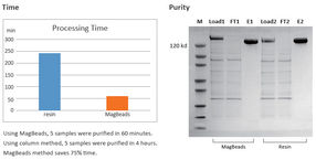 AmMag™ Magnetic Bead Purification System purifyies high number of samples in a short time.
