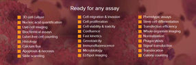Cytation 7 ermöglicht die einfache Durchführung einer breiten Palette von Assays mit fixierten und lebenden Zellen.