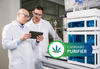 Preparative HPLC for the batch purification of cannabinoids