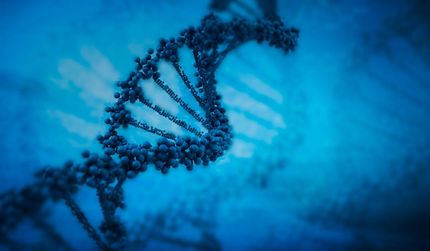 Essentielle Produkte zur erfolgreichen DNA- und RNA-Analyse