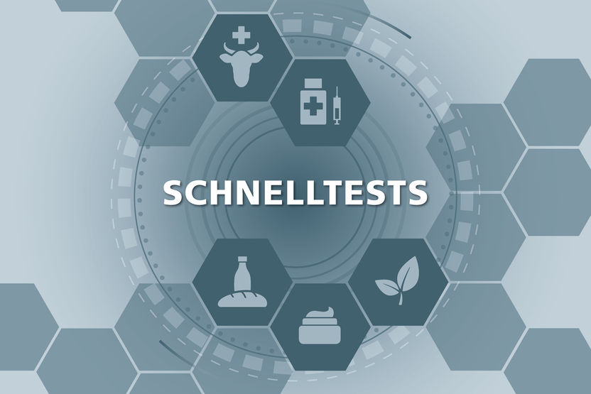 Am Fraunhofer IZI-BB entwickeln wir Schnelltests für Bioanalytik & Diagnostik