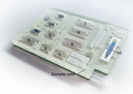 Prototyp einer Mikrofluidik-Kartusche für die Vor-Ort-Diagnostik