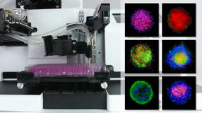 The AMX module helps protect spheroids, tumoroids and other 3D cell structures and encourage growth for cell-based assays.