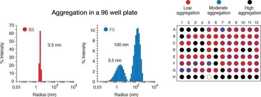 Ergebnisübersicht einer Well-Platte