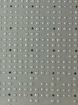 E. coli Klone nach Wachstum und Proteinexpression auf dem Array