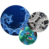 ASKA Biotech GmbH - Ihr Partner für die Entwicklung & Produktion rekombinanter Proteine